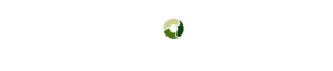 brand-growth-lab.de
